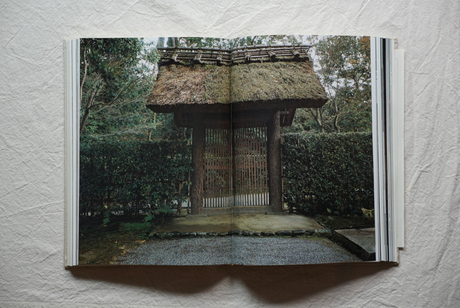 桂離宮 每日新聞社 Katsura Imperial kokiriyama