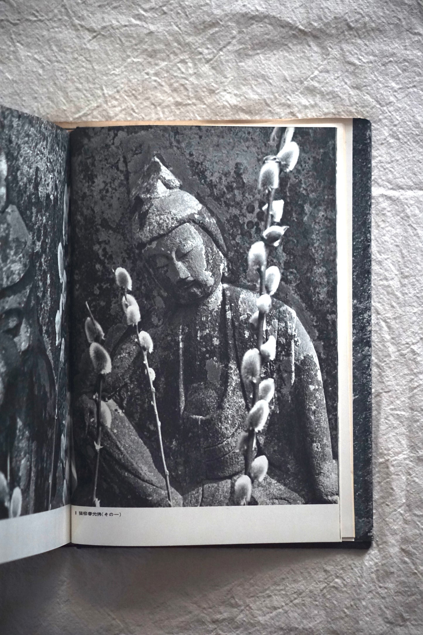 野の佛 Buddha of the Field kokiriyama