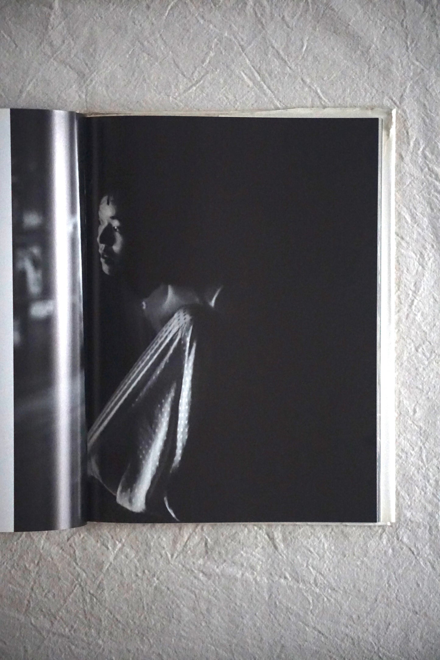light of the dark kishin shinoyama+shinobu otake kokiriyama