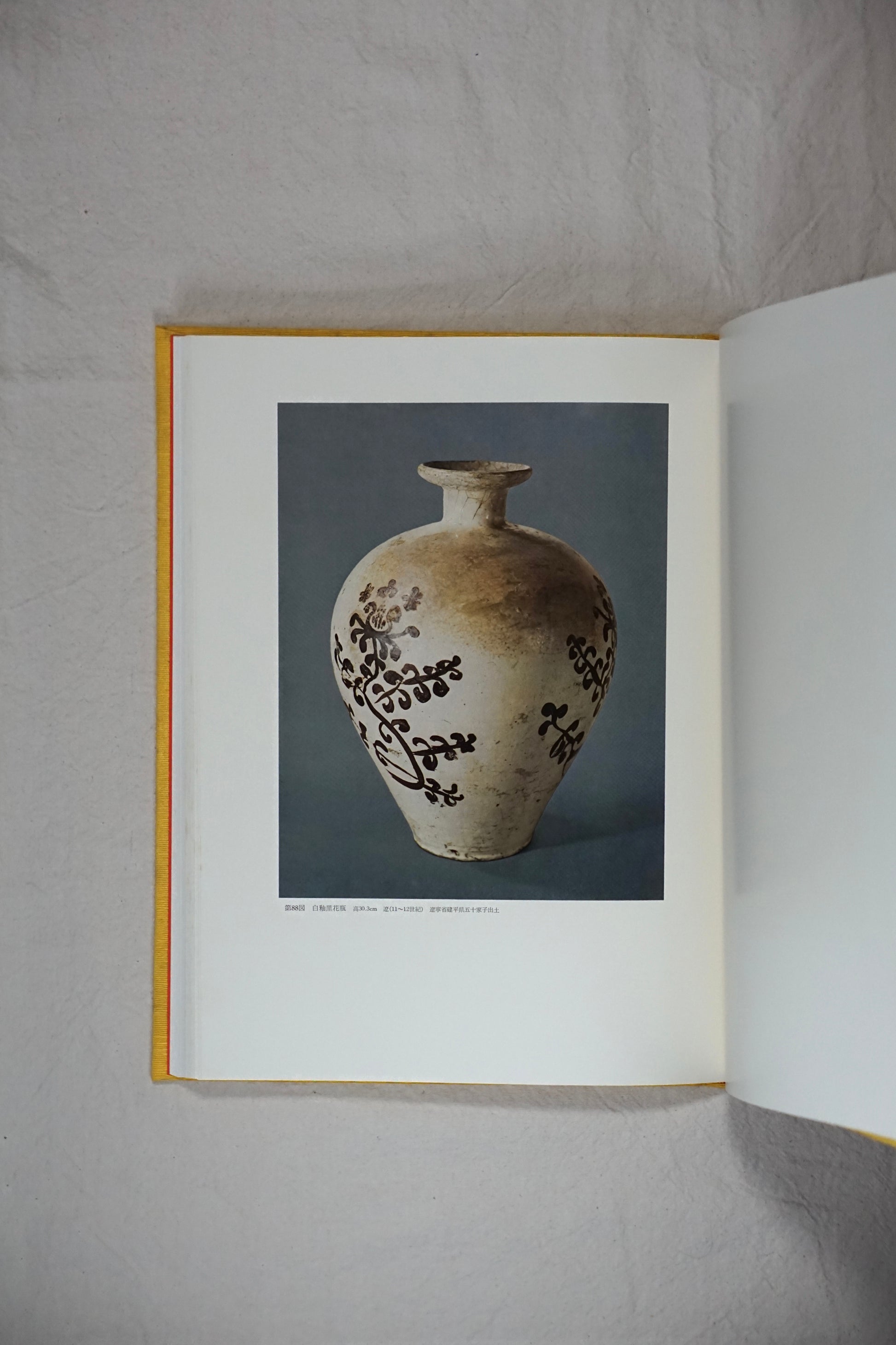 中国の陶磁 新出土の名品 (限定780部)Newly excavated masterpieces of Chinese ceramics kokiriyama