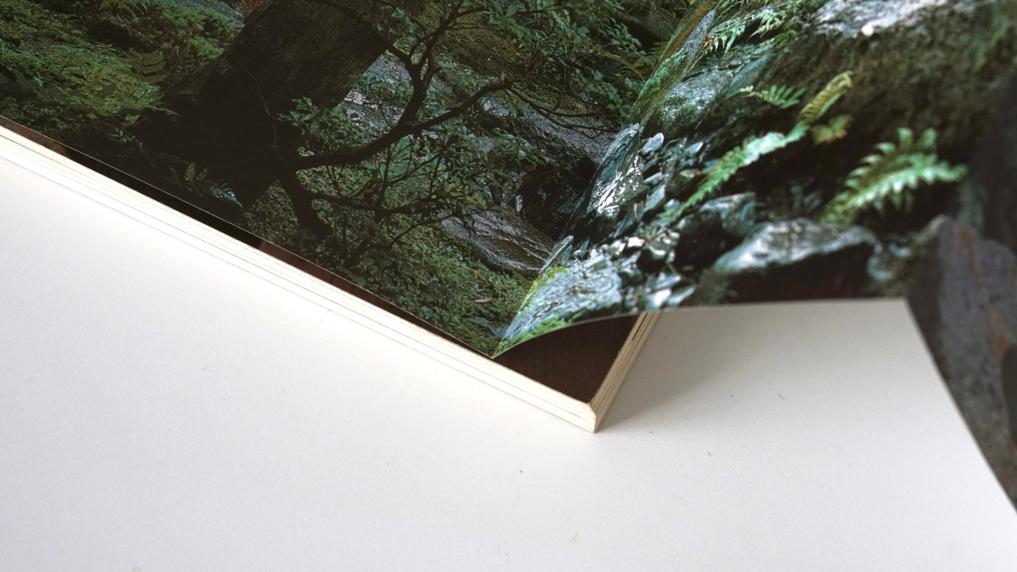 新建築(1983年1月臨時増刊) 数寄屋建築的方法 Shinkenchiku Methods of Sukiya Architecture kokiriyama