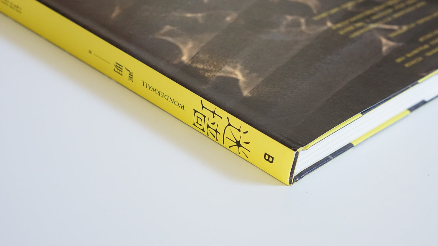 迷牆 嚴明写真集(サイン入り特装版)Wonder Wall Yan Ming kokiriyama