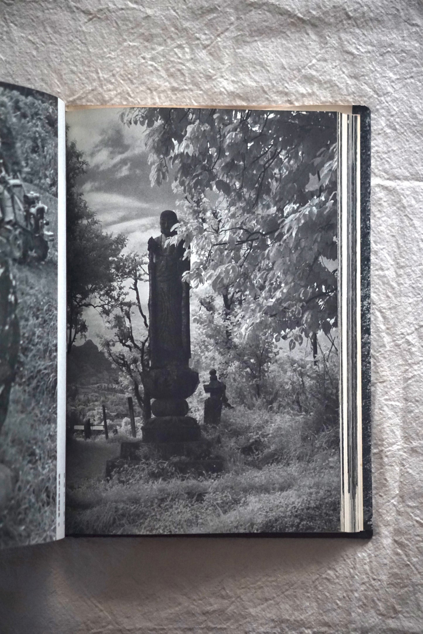 野の佛 Buddha of the Field kokiriyama