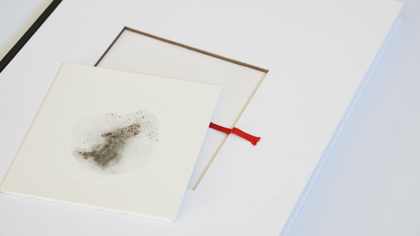 CAI GUO-QIANG | HEAD ON DEUTSCHE BANK COLLECTION kokiriyama