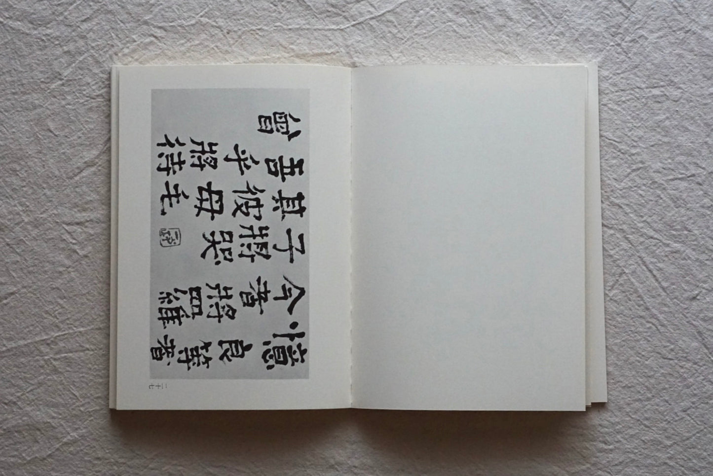 中川一政書展 カタログ附印譜 全2冊揃 吉井画廊10 Nakagawa Kazumasa周年記念 kokiriyama