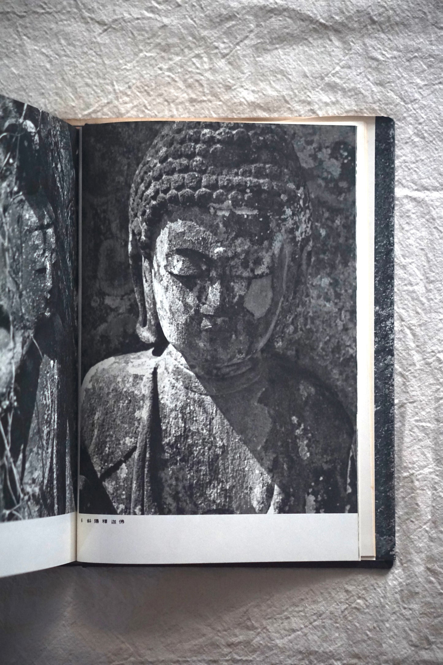 野の佛 Buddha of the Field kokiriyama