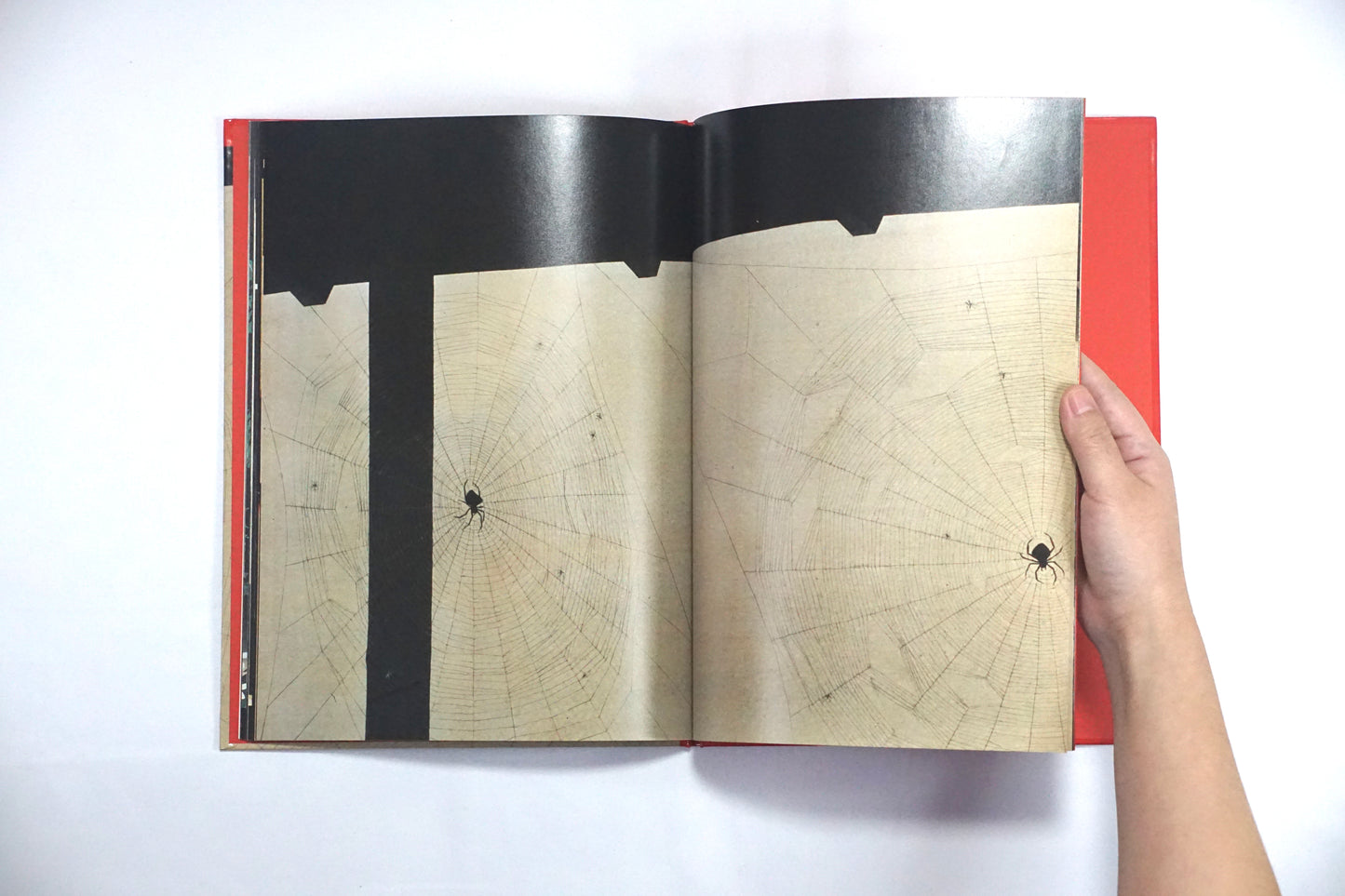 小茂田青樹 虫魚畫卷 Aoki Komoda kokiriyama