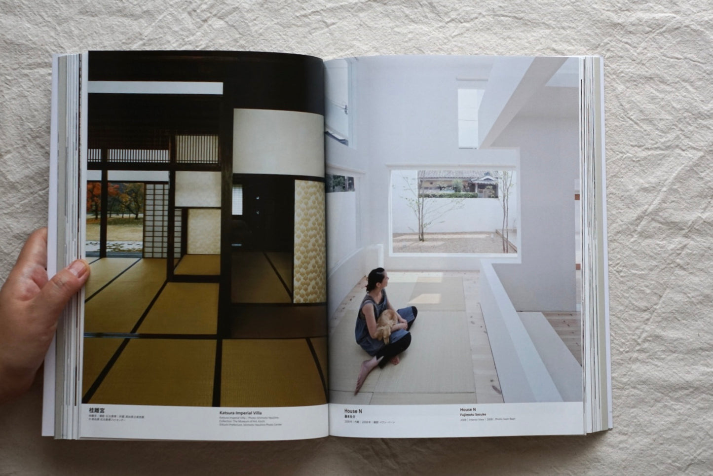 建築の日本展 その遺伝子のもたらすもの Architecture in Japan kokiriyama