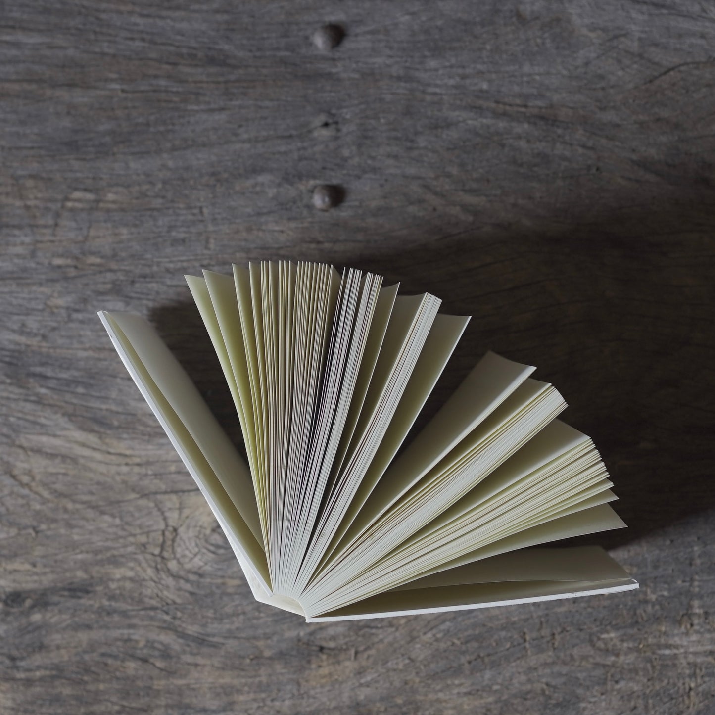 What Is Craft? by Akito Akagi and Hiroyuki Horihata (co-authors)