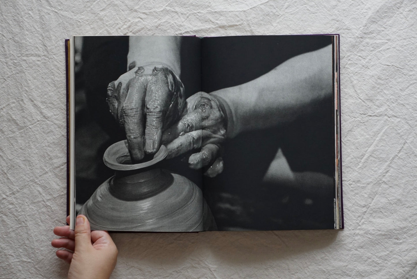 人間国宝・伝統工芸 Living National Treasure/Traditional Craftsman kokiriyama