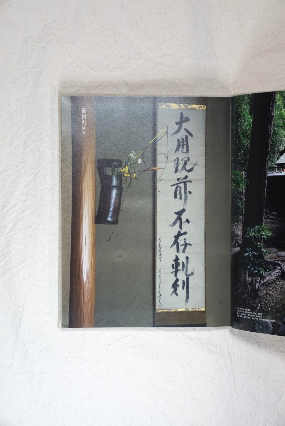 工芸青花 1 KOGEI SEIKA kokiriyama