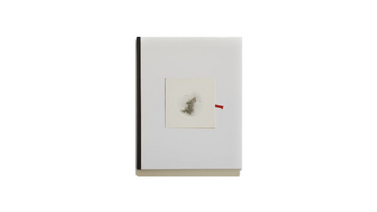 CAI GUO-QIANG | HEAD ON DEUTSCHE BANK COLLECTION kokiriyama