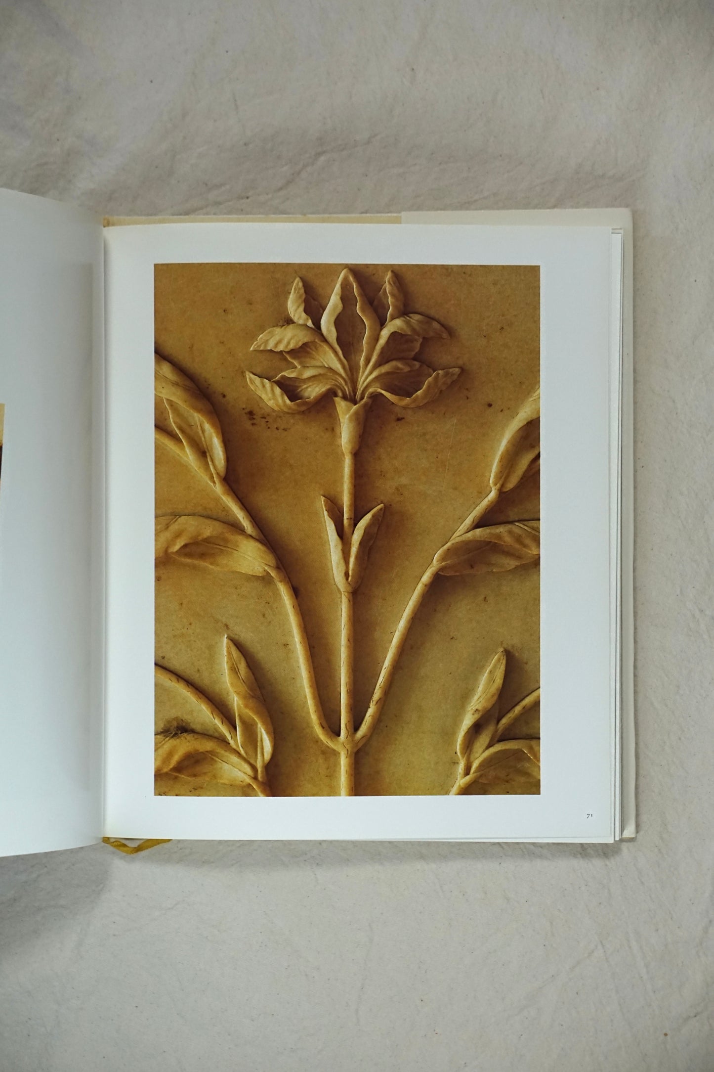 タージ・マハル taj mahal kokiriyama