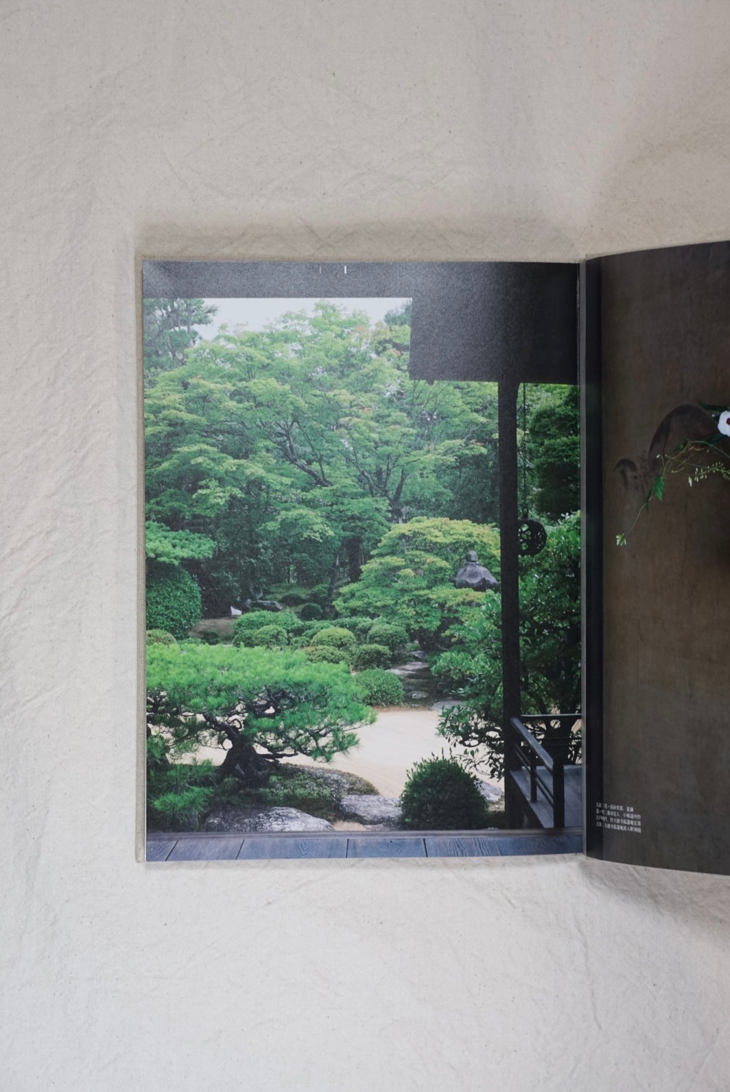 工芸青花 1 KOGEI SEIKA kokiriyama