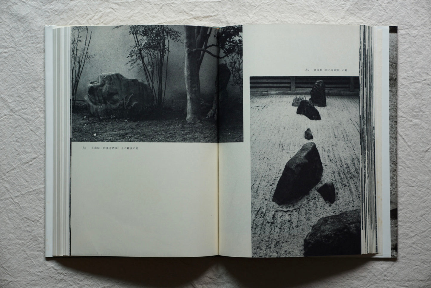 日本の庭 kokiriyama