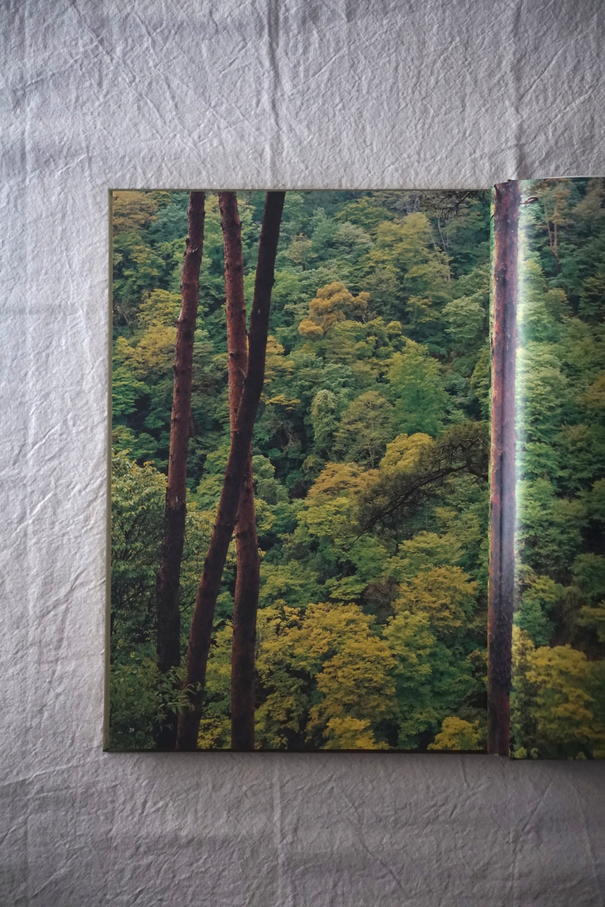 京都 岩宮武二自選集 限定版 (京都案內図付き)Kyoto Takeji Iwamiya's Selected Collection kokiriyama