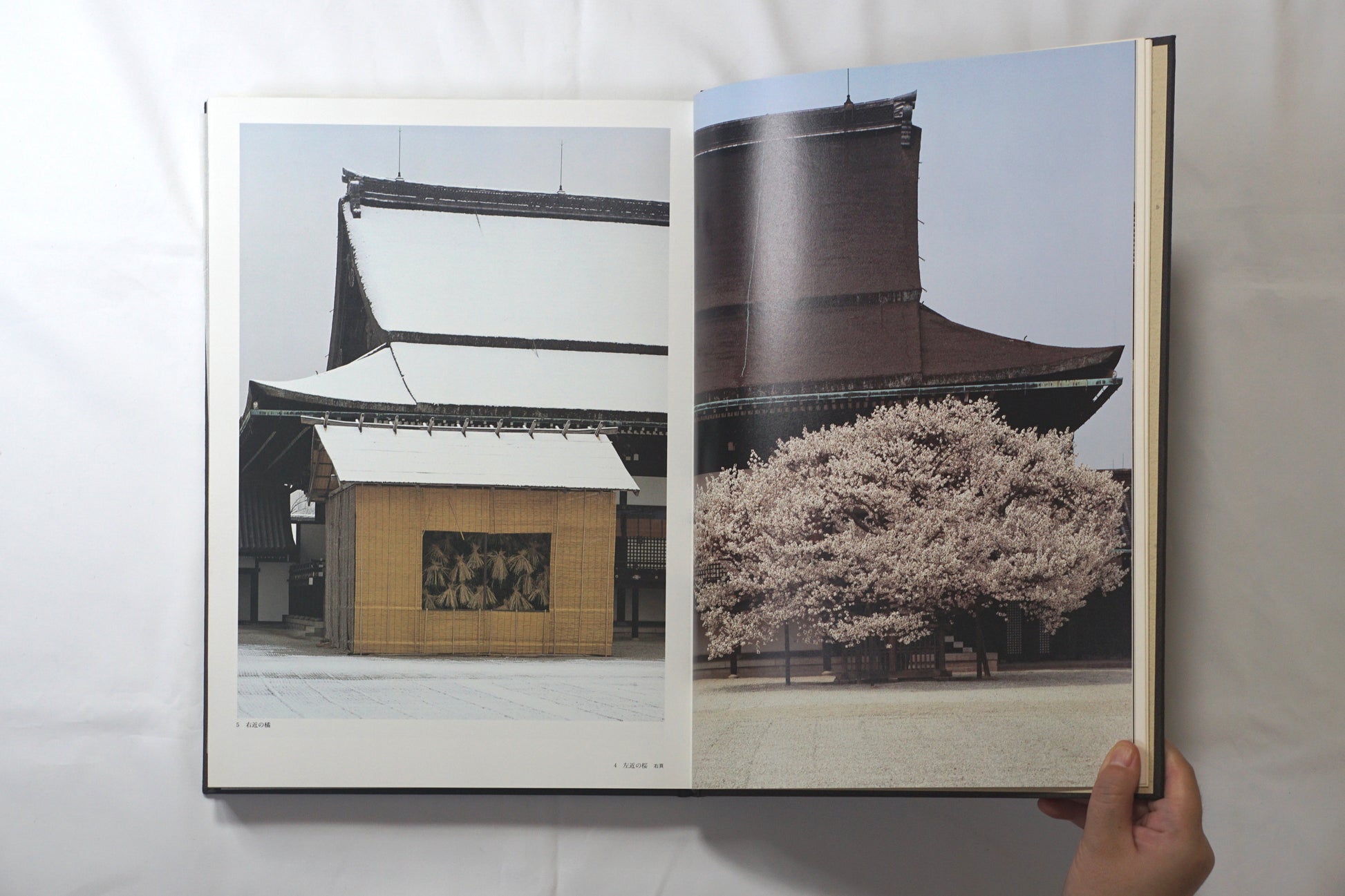 京都御所 每日新聞社 Kyoto Imperial Palace kokiriyama