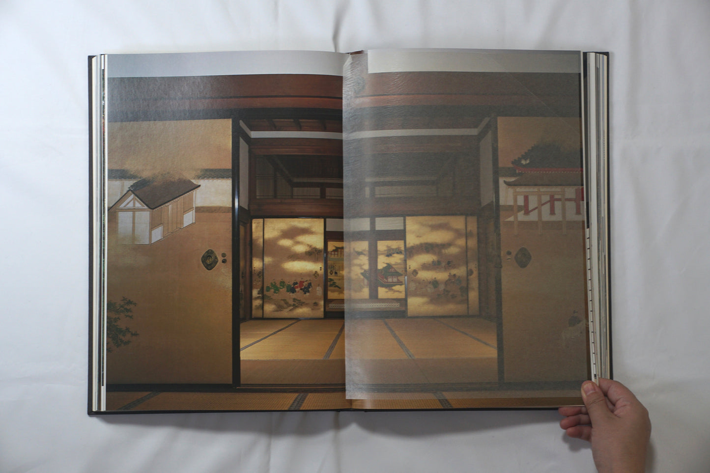 京都御所 每日新聞社 Kyoto Imperial Palace kokiriyama