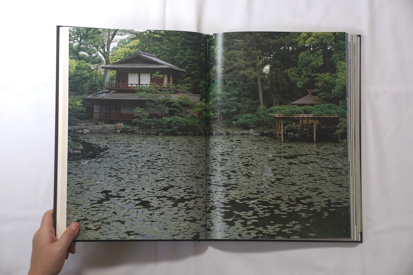 京都御所 每日新聞社 Kyoto Imperial Palace kokiriyama