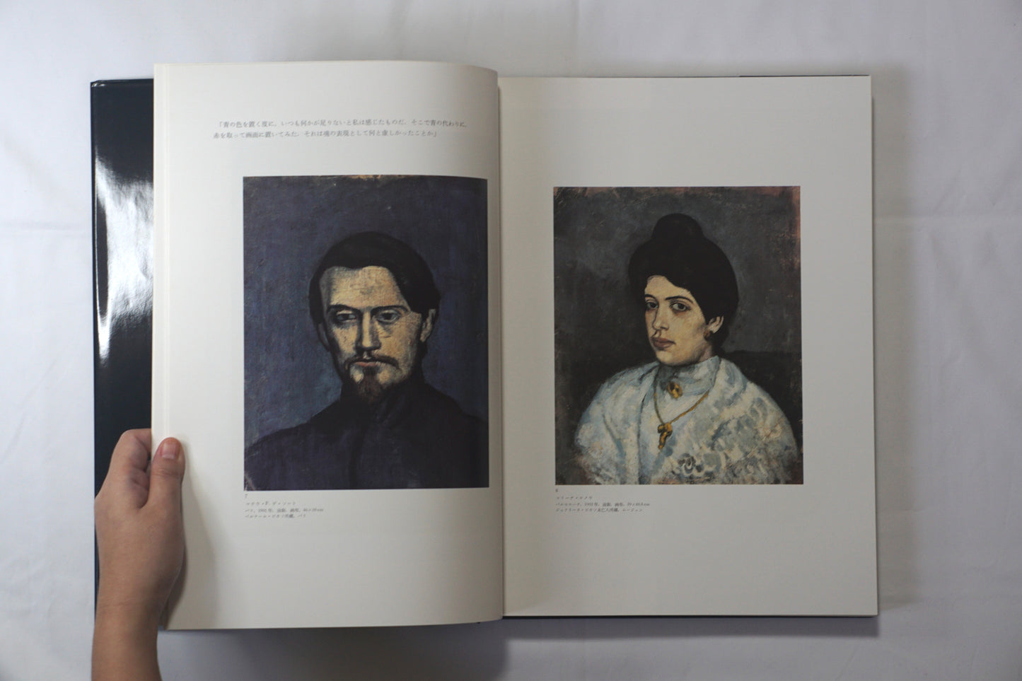 ピカソ Picasso 眼の记忆 Picasso Memories of the Eye kokiriyama