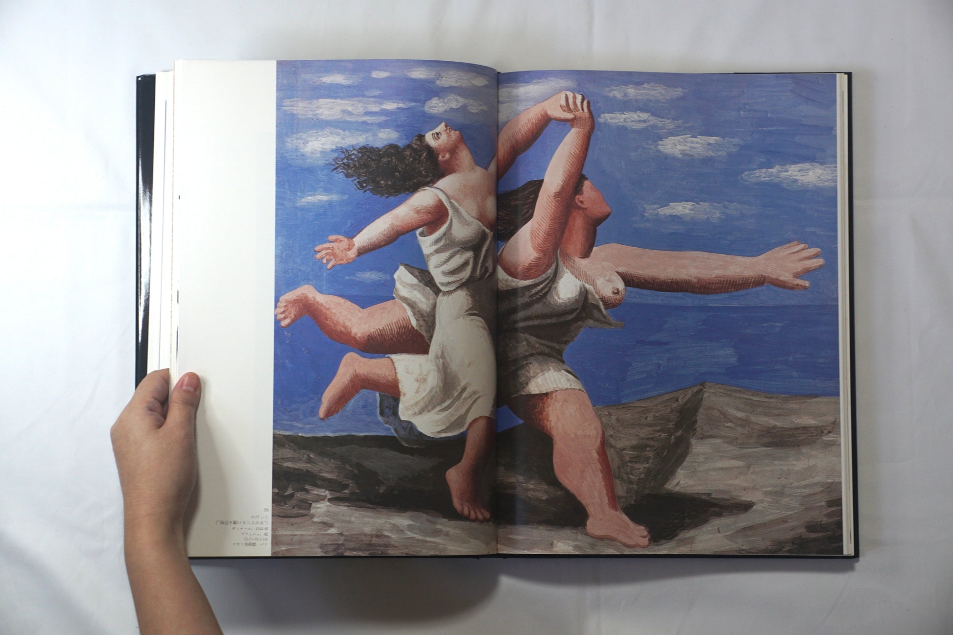 ピカソ Picasso 眼の记忆 Picasso Memories of the Eye kokiriyama