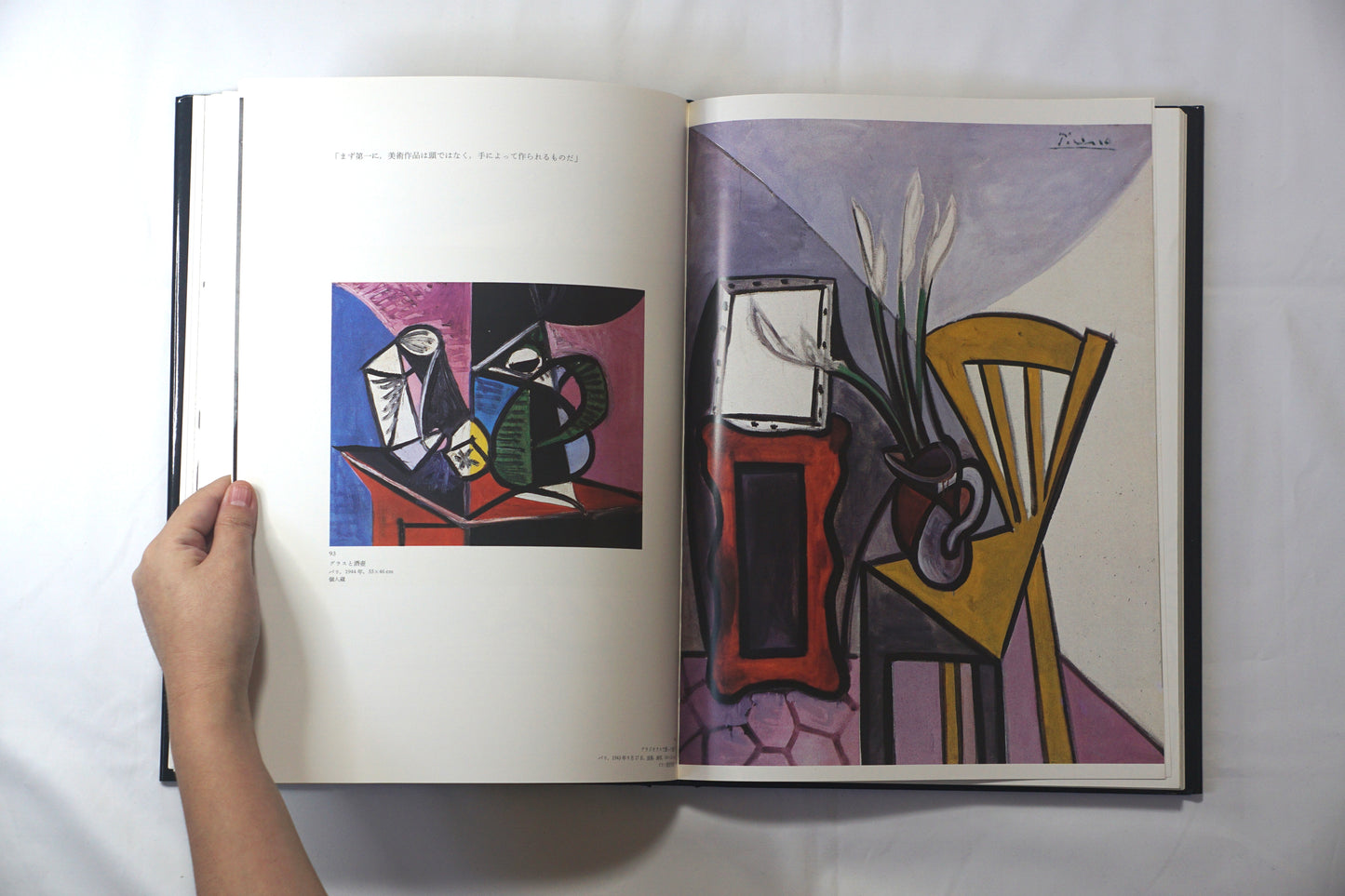 ピカソ Picasso 眼の记忆 Picasso Memories of the Eye kokiriyama