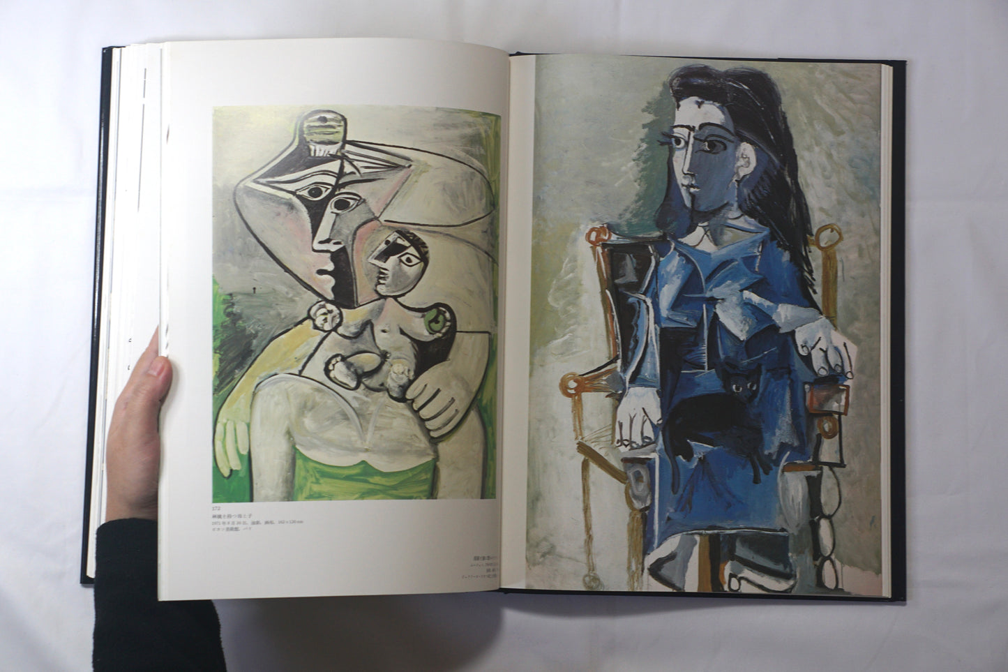 ピカソ Picasso 眼の记忆 Picasso Memories of the Eye kokiriyama