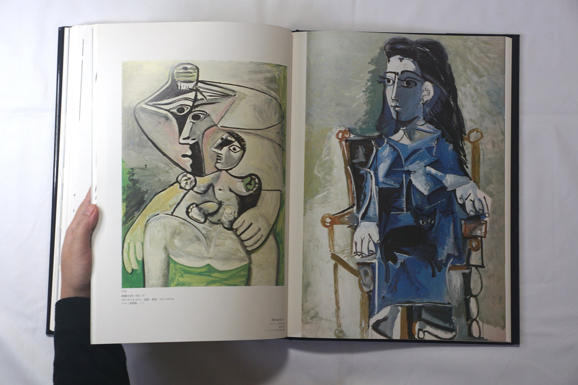 ピカソ Picasso 眼の记忆 Picasso Memories of the Eye kokiriyama