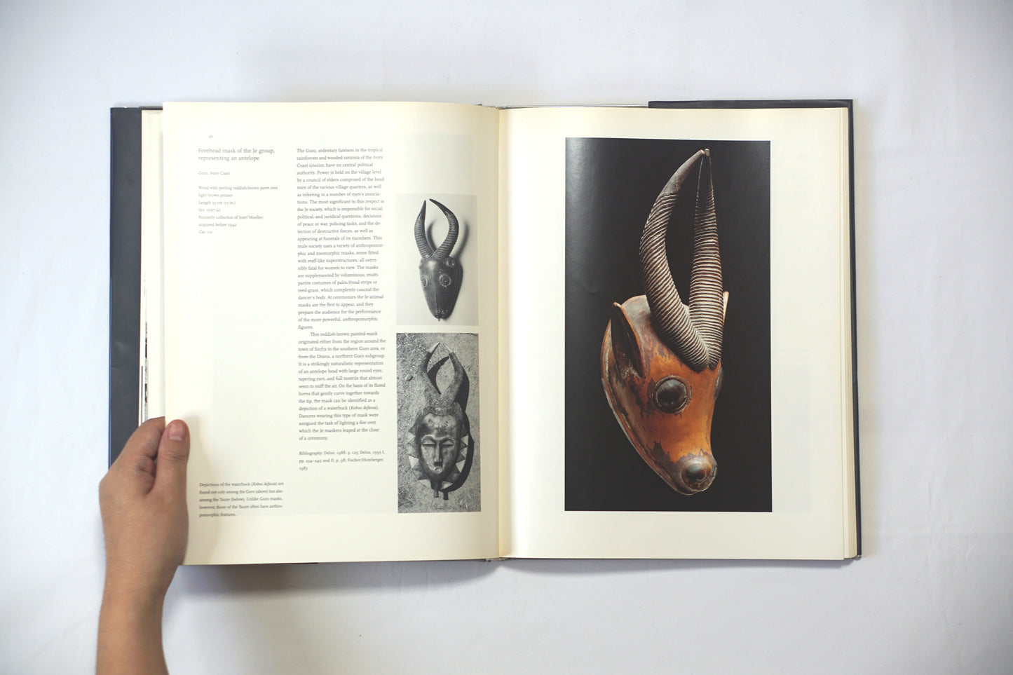 African Masks: The Barbier-Mueller Collection kokiriyama