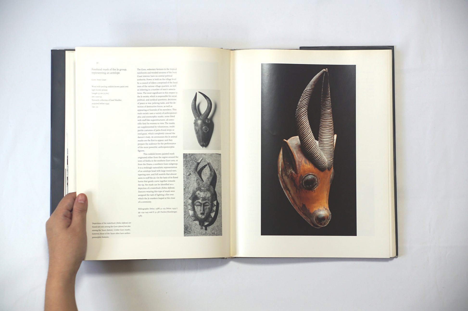 African Masks: The Barbier-Mueller Collection kokiriyama