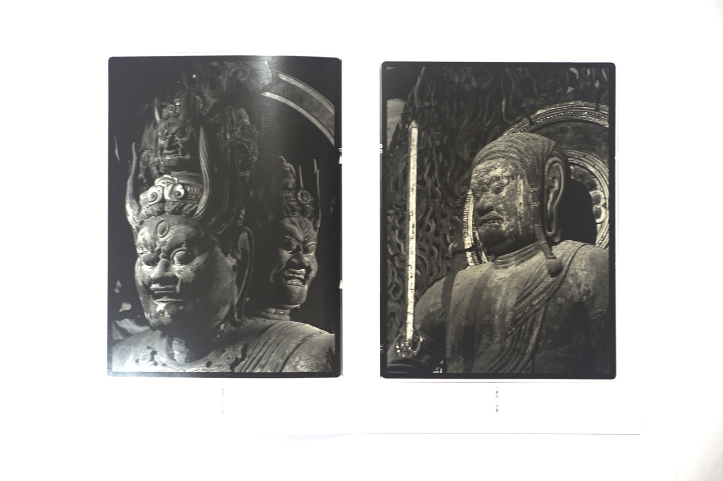 東寺 立木義浩 Toji Yoshihiro Tachiki kokiriyama