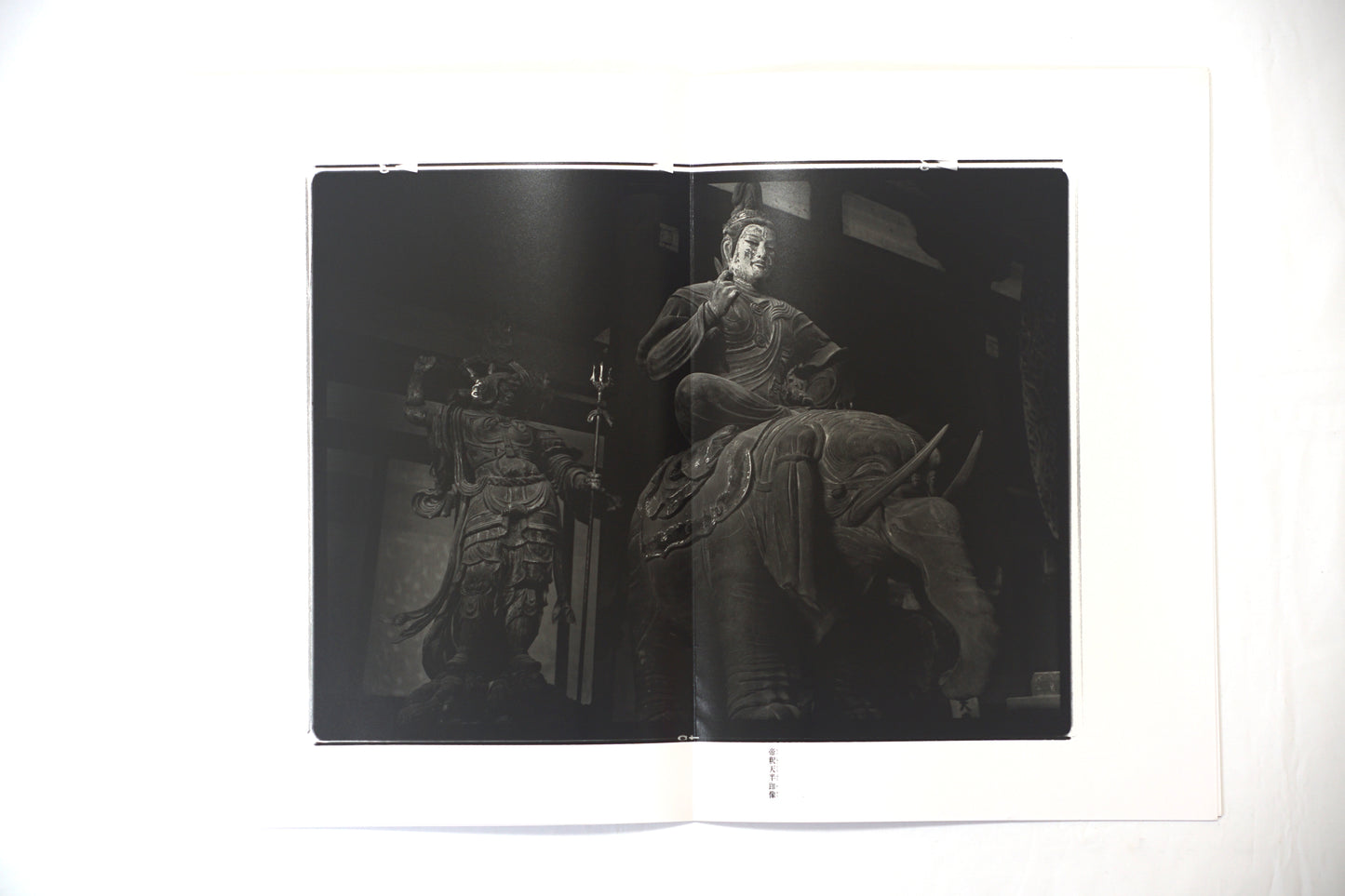 東寺 立木義浩 Toji Yoshihiro Tachiki kokiriyama