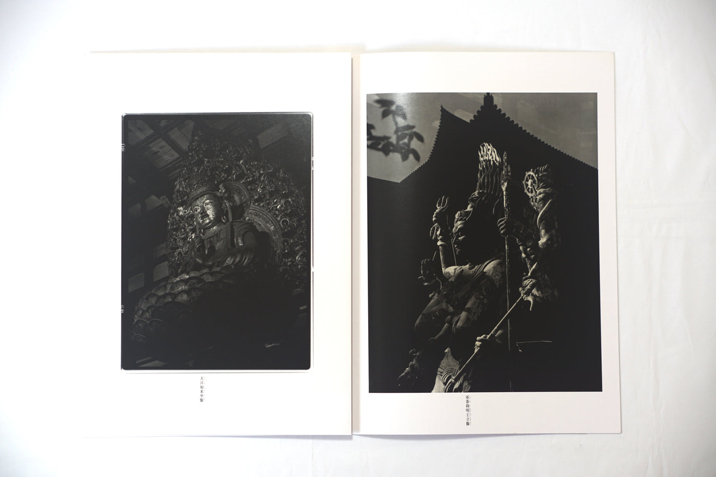 東寺 立木義浩 Toji Yoshihiro Tachiki kokiriyama