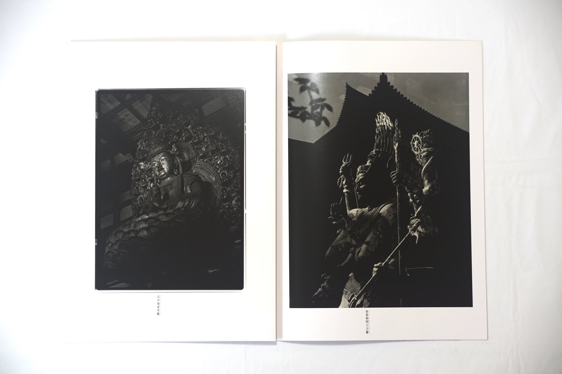 東寺 立木義浩 Toji Yoshihiro Tachiki kokiriyama