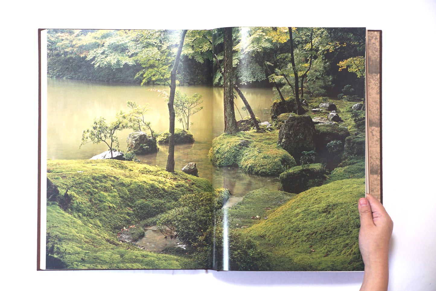 数寄屋 建築と庭園 Sukiya architecture and gardens kokiriyama