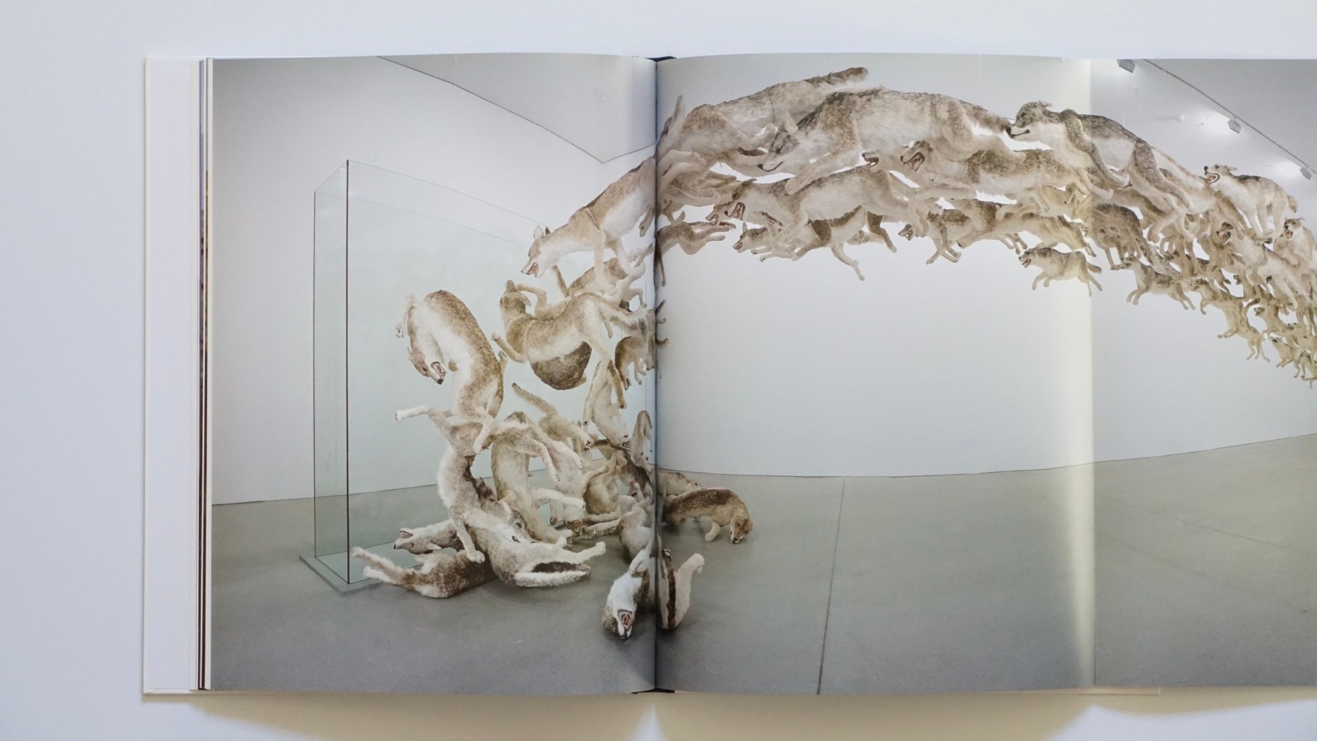 CAI GUO-QIANG | HEAD ON DEUTSCHE BANK COLLECTION kokiriyama