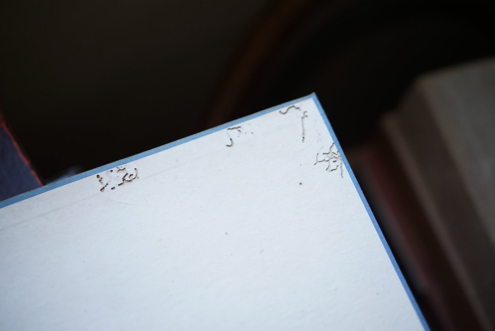 形物香合 図鑑篇・説文篇 二冊帙入 incense containers kokiriyama