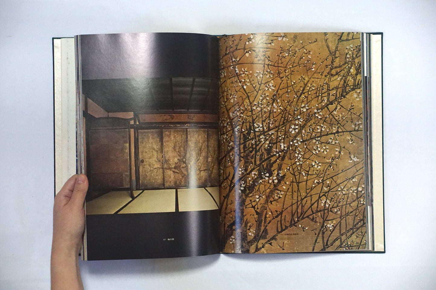 角屋 Kadoya kokiriyama