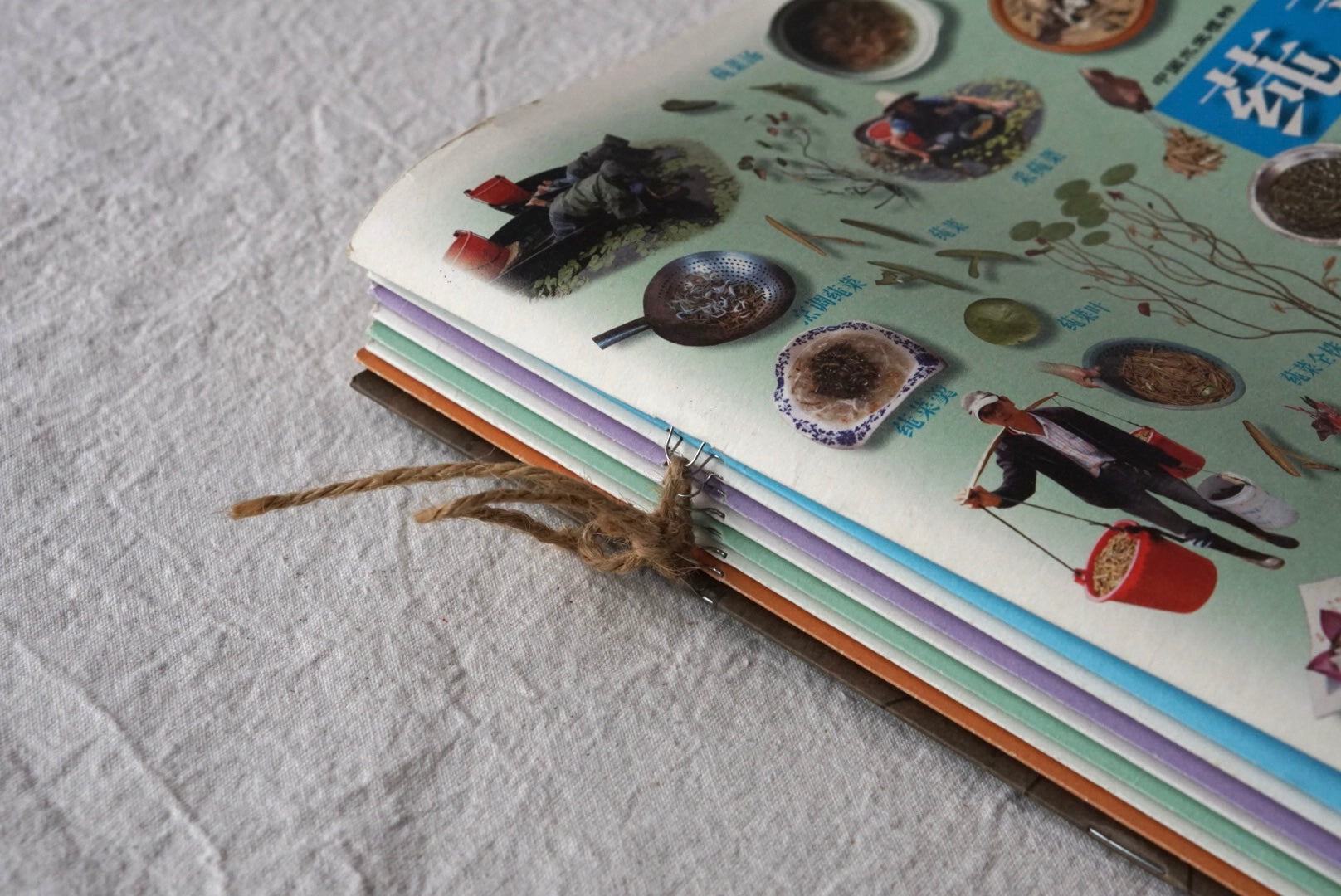 漢聲雜誌 中国水生植物:苏州水八仙 9册 kokiriyama