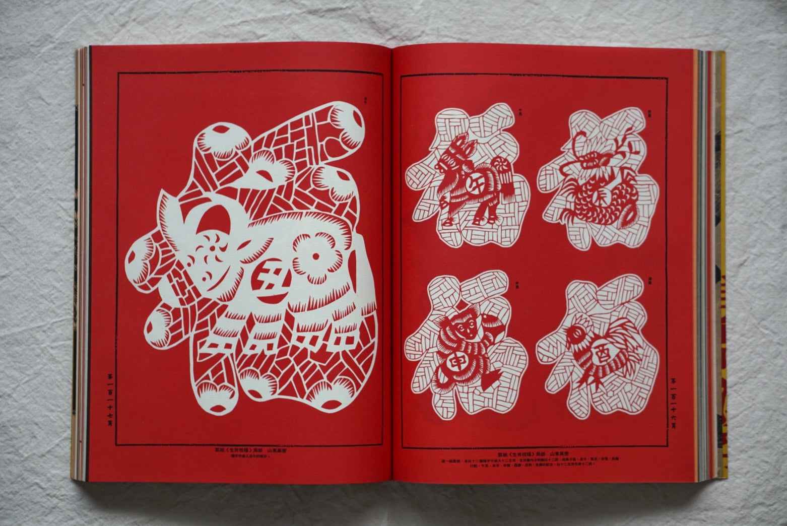 漢聲雜誌 美哉漢字 Hansheng : Beautiful Kanji kokiriyama