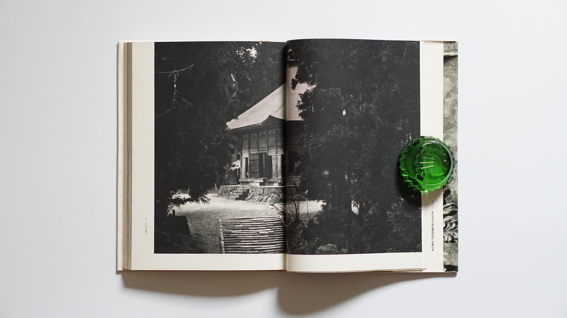 中尊寺 Chusonji Temple kokiriyama