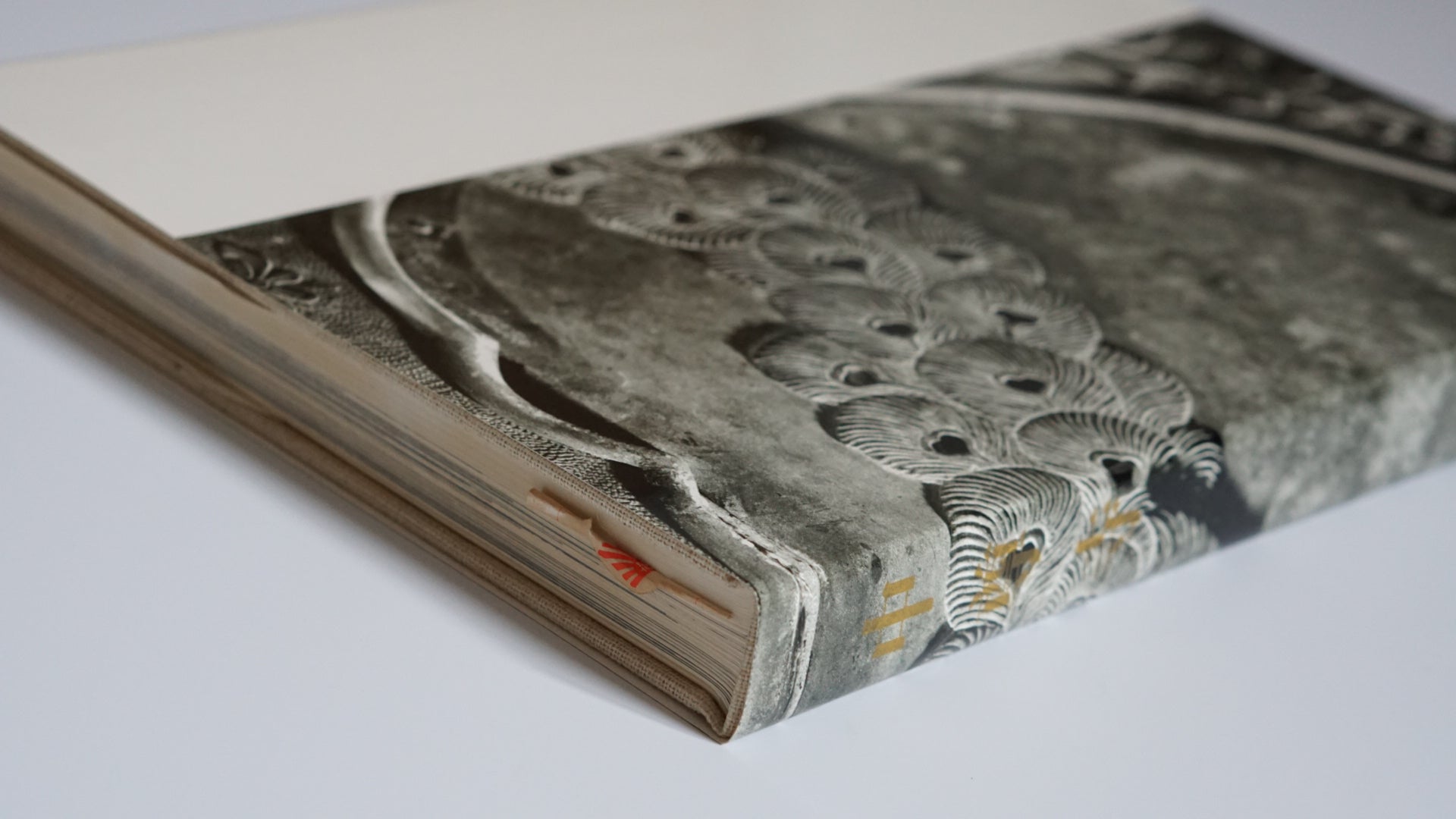 中尊寺 Chusonji Temple kokiriyama