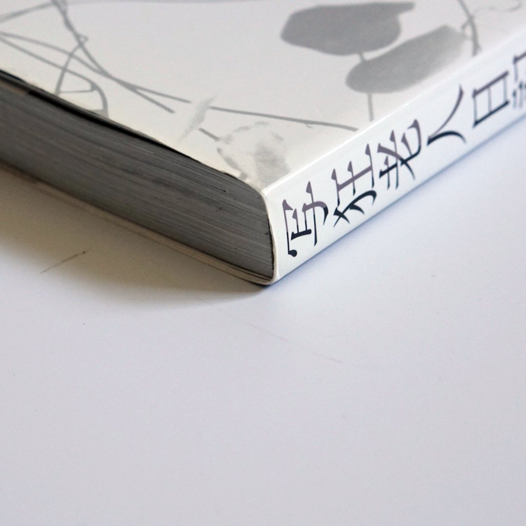 写狂老人日記 嘘 荒木經惟 Liar Araki Ayane kokiriyama