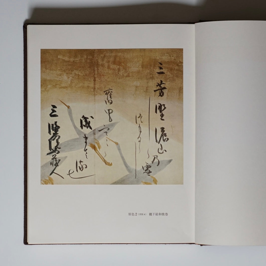 光悅 Koetsu kokiriyama