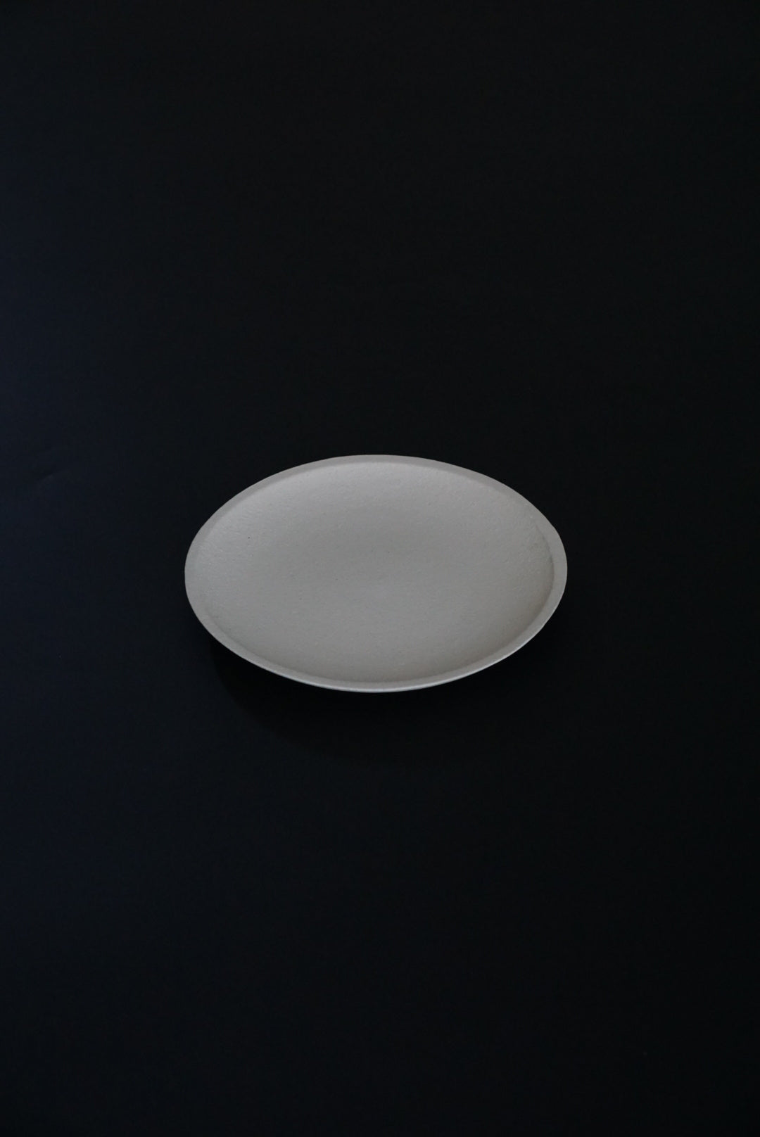 明山窯 信楽焼 中皿 SHIROTSUCHI PLATE kokiriyama