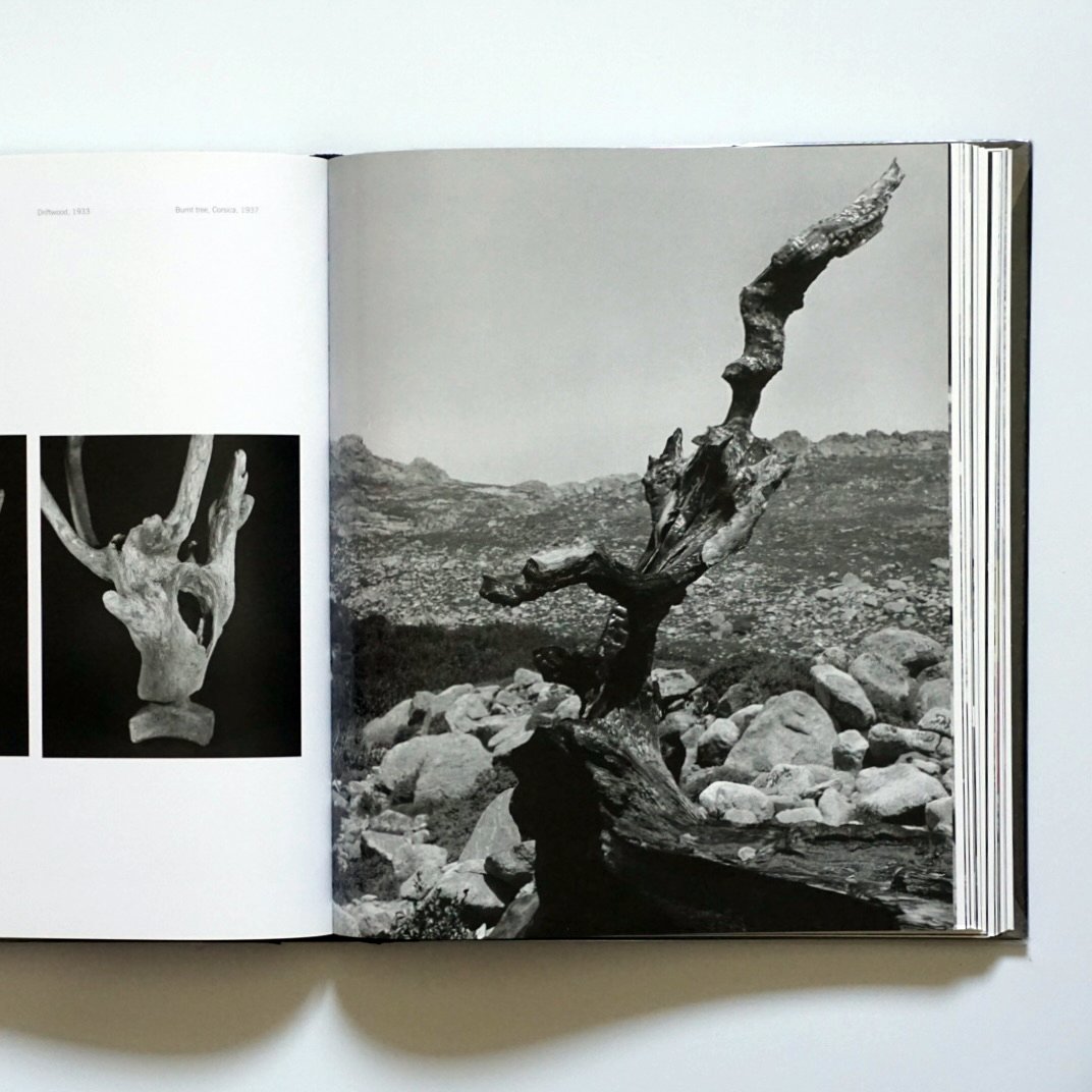 シャーロット・ペリアン Charlotte Perriand: Photography: A Wide-Angle Eye kokiriyama