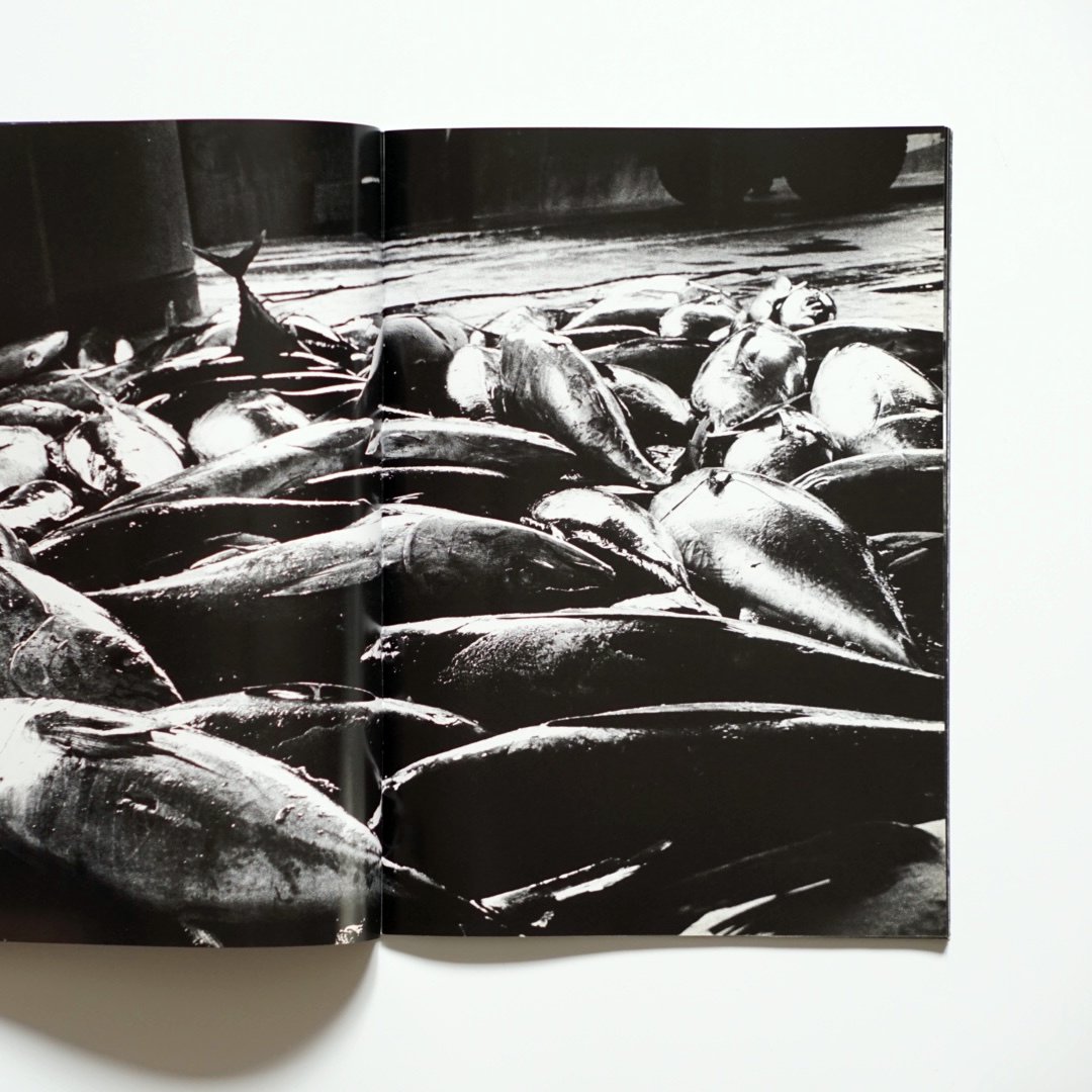 it 森山大道 Daido Moriyama 署名入り kokiriyama