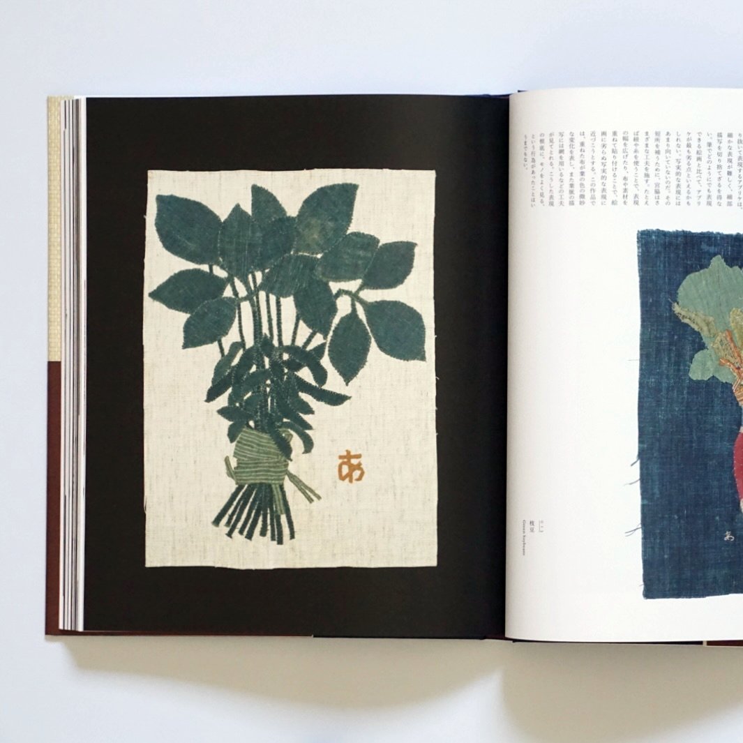 「新刊」宮脇綾子の芸術: 見た、切った、貼った kokiriyama