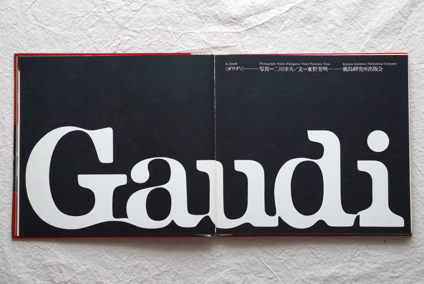 Gaudi: The Fantastic Architect Who Praised the Pleasure of Form