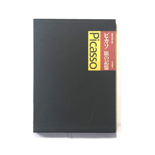 ピカソ Picasso 眼の记忆 Picasso Memories of the Eye kokiriyama